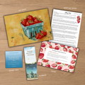 The Story Post Mail Club Subscription
